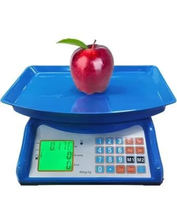 BALANZA CON BANDEJA DE PLASTICO AZUL