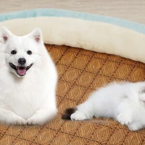 CAMA PARA GATO TALLA S