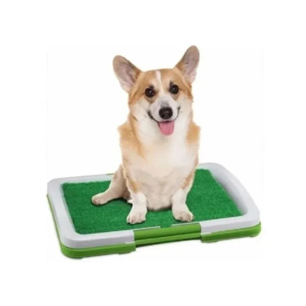 BAÑO ECOLOGICO PARA PERROS Y MASCOTAS - Imagen 3