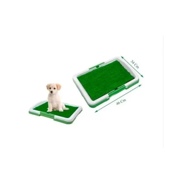 BAÑO ECOLOGICO PARA PERROS Y MASCOTAS - Imagen 2