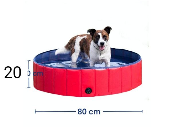 PISCINA  PARA MASCOTAS DE 80 X 2O CM - Imagen 4